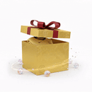 MISTERY BOX D'OURO [Camisolas Versão Player, Adepto e Retrô]